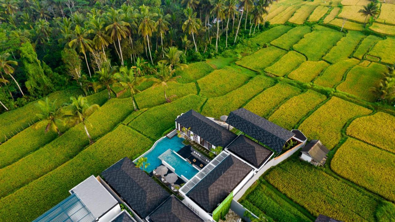 Villa Mia By Balisuperhost Ubud Zewnętrze zdjęcie